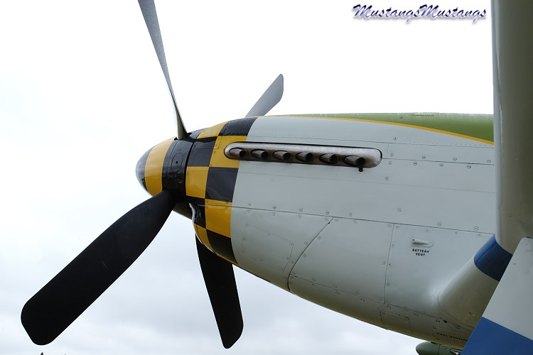 44-74878_04263_cf1.jpg