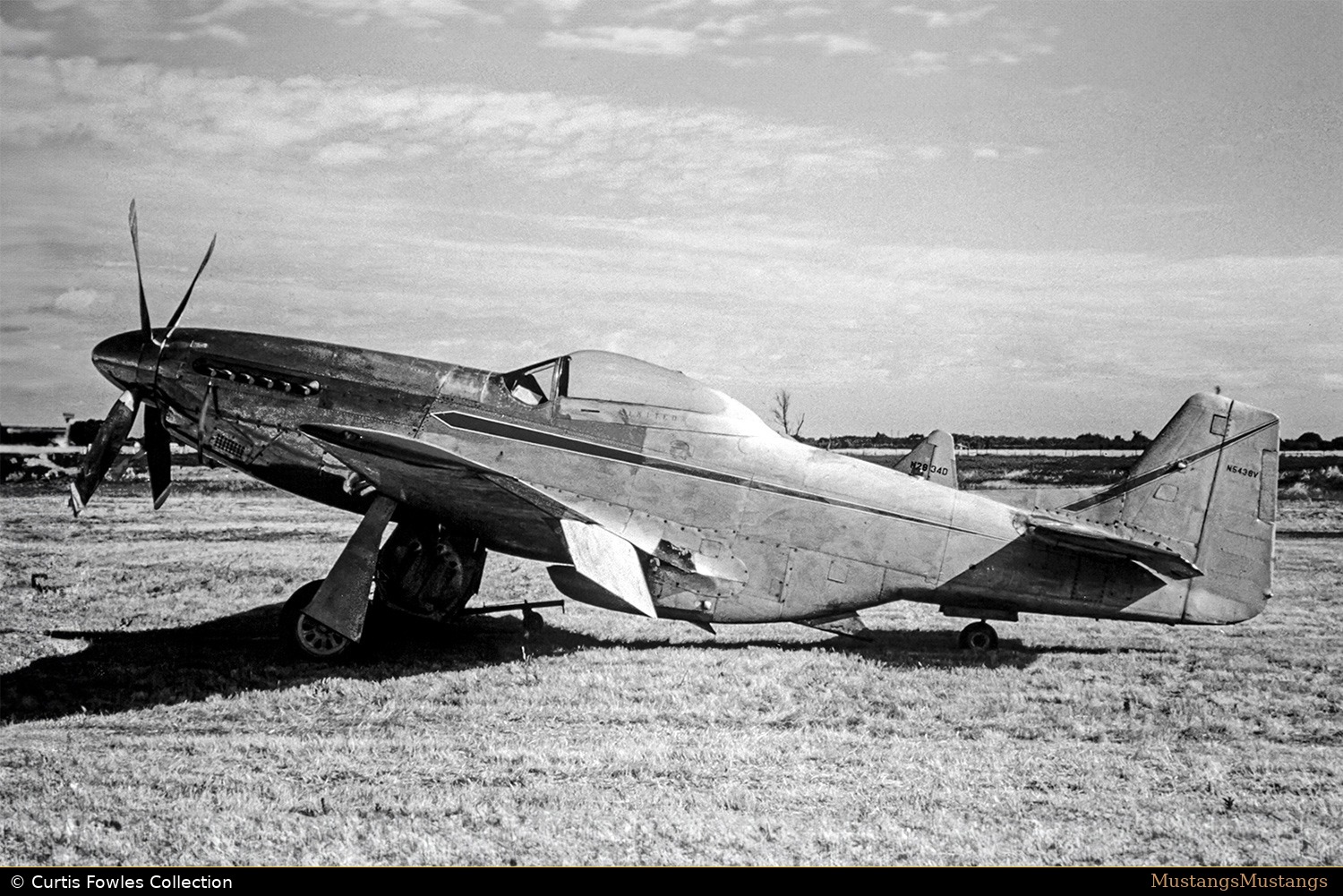 44-74923_10293_CFC.jpg