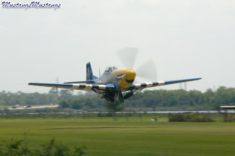 44-74976_04372_cf1.jpg