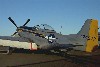P-51