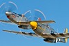 P-51
