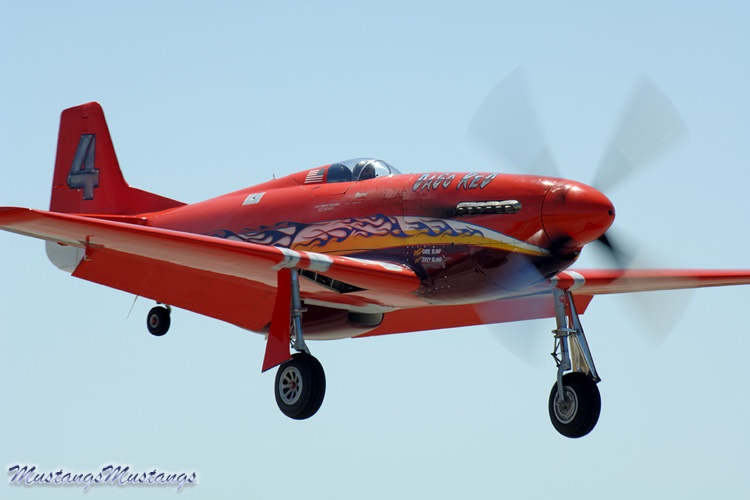 44-74996_04466_cf1.jpg