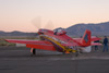 P-51