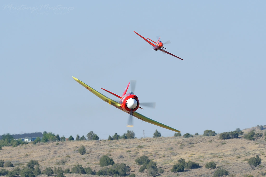 44-74996_04502_cf1.jpg