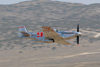 P-51