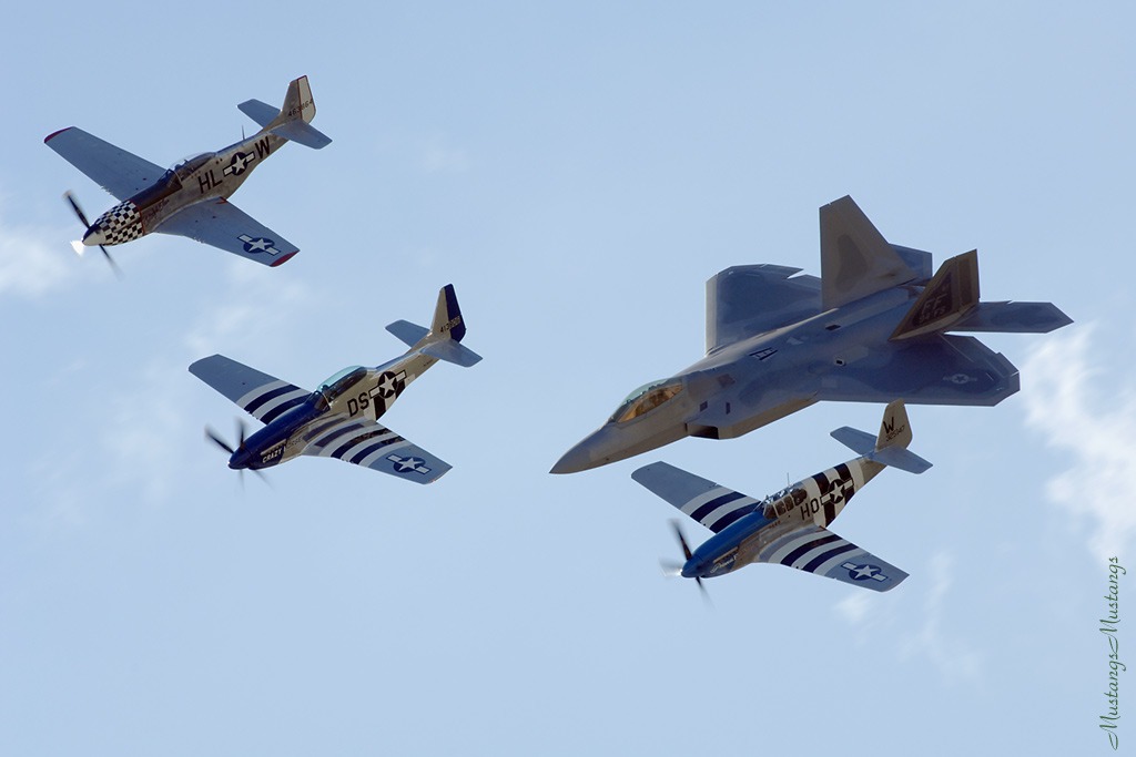 44-84745_8798_cf1.jpg