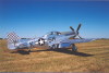 P-51