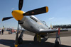 P-51