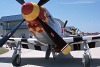 P-51