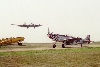 P-51