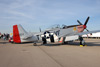 P-51