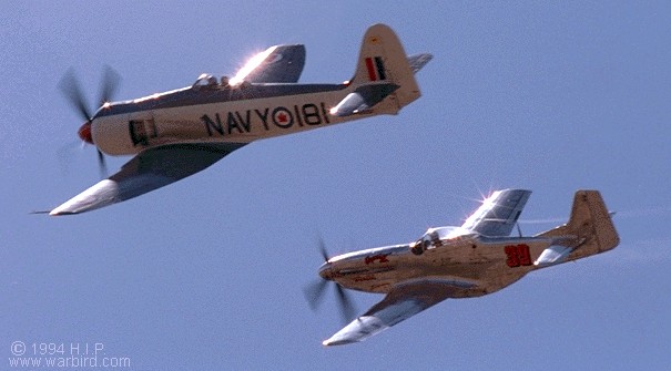 45-11558_05272_wb2.jpg