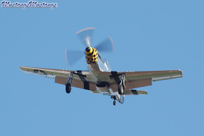 45-11559_05369_cf1.jpg