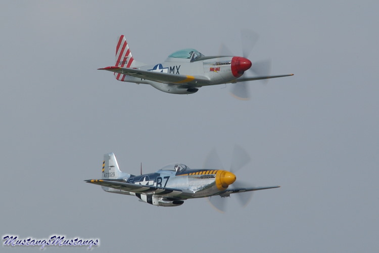45-11559a_05387_cf1.jpg