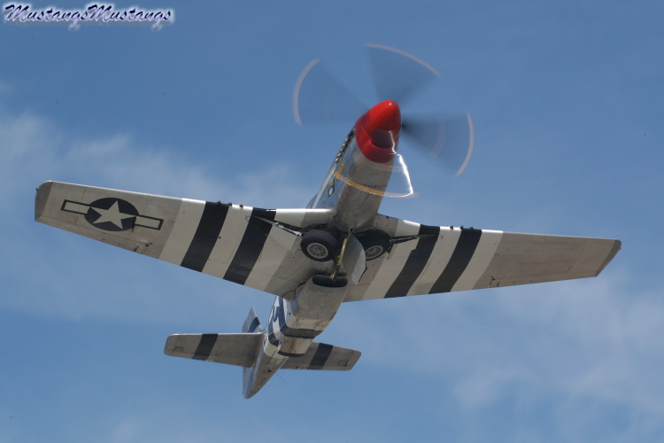 45-11582_05428_cf1.jpg