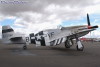 P-51