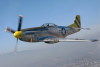 P-51