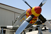 P-51