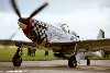 P-51