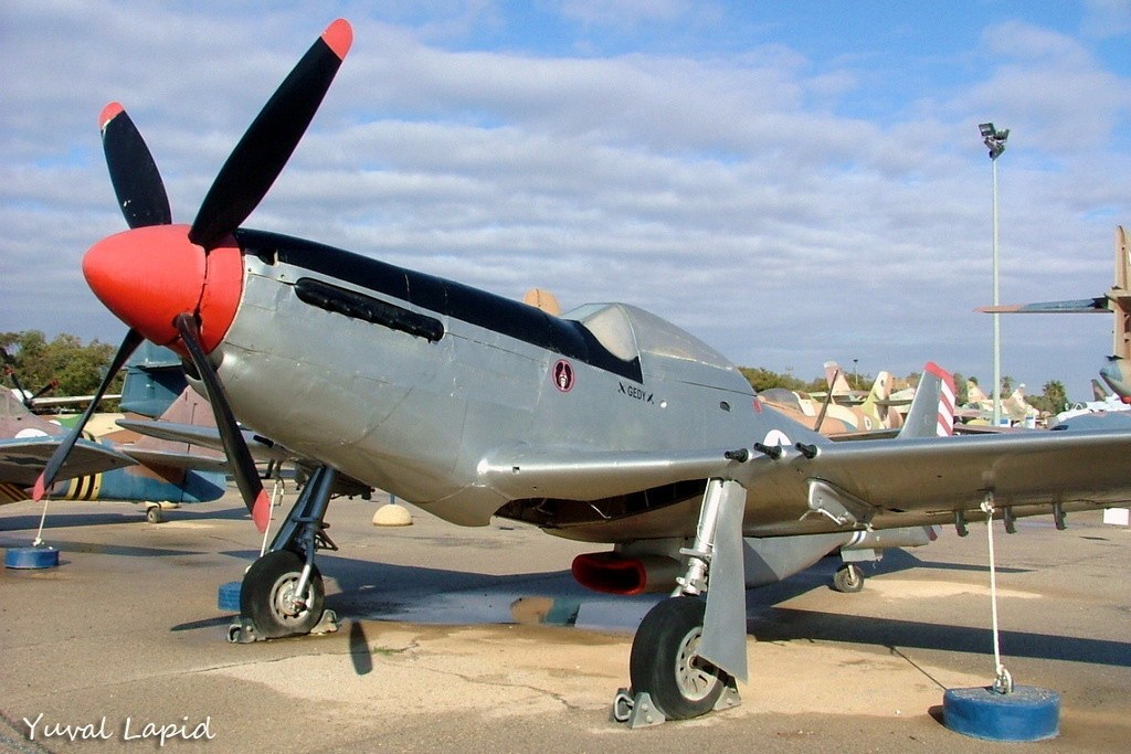 IDFAF08_8282_yl1.jpg