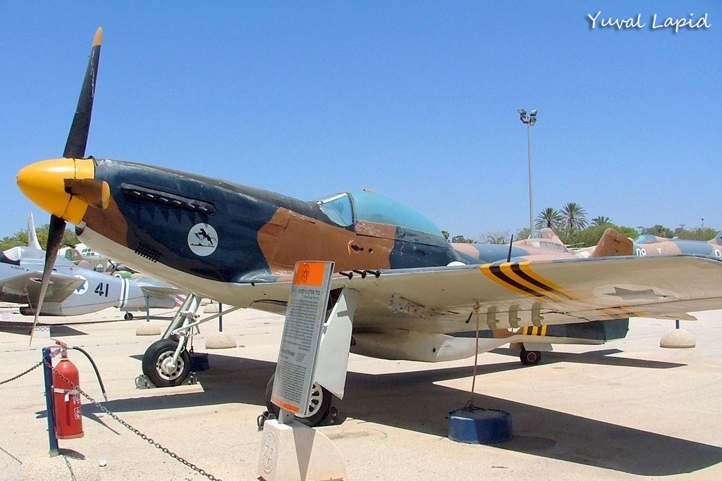 IDFAF2338_8280_yl1.jpg