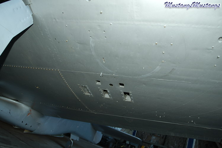 UNK02_06003_cf1.jpg