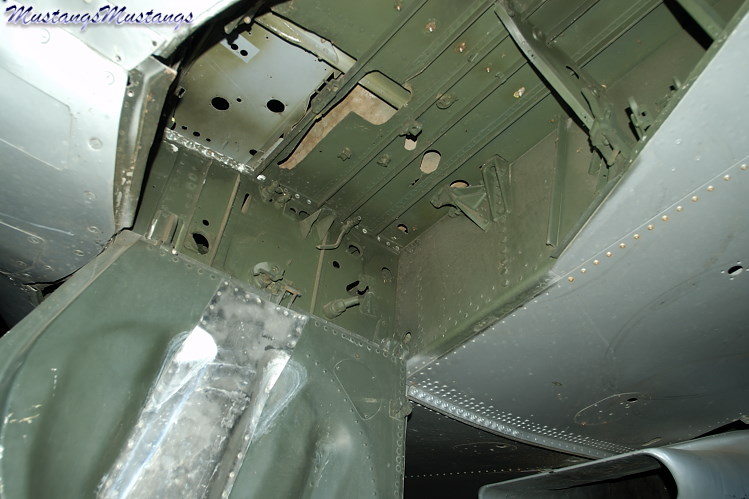UNK02_06005_cf1.jpg