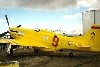 LeewardSpecial.1t.jpg