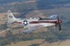 Cavalier_3t.jpg