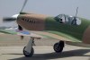 P-51A-10NA_5t.jpg