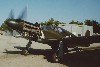 P-51A-1NA_5t.jpg