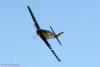 P-51A-1NA_8t.jpg