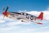 P-51C-10NT_3t.jpg