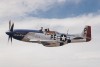 P-51D-30NT_8t.jpg