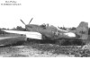 P-51K-10NT_3t.jpg