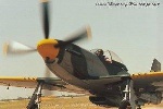 P-51 Who