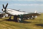 P-51 Who