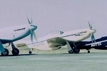 P-51 Who