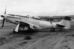 P-51 Who