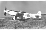 P-51 Who