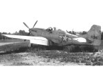 P-51 Who