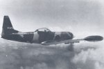 P-51 Who