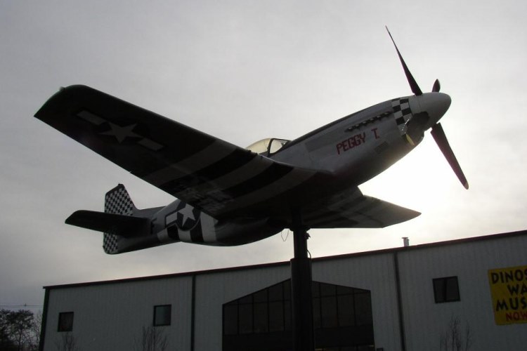 P-51 Who 307