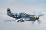 P-51 Who