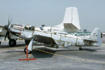 P-51 Who