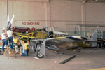 P-51 Who