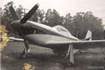 P-51 Who