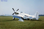 P-51 Who