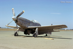 P-51 Who