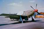 P-51 Who
